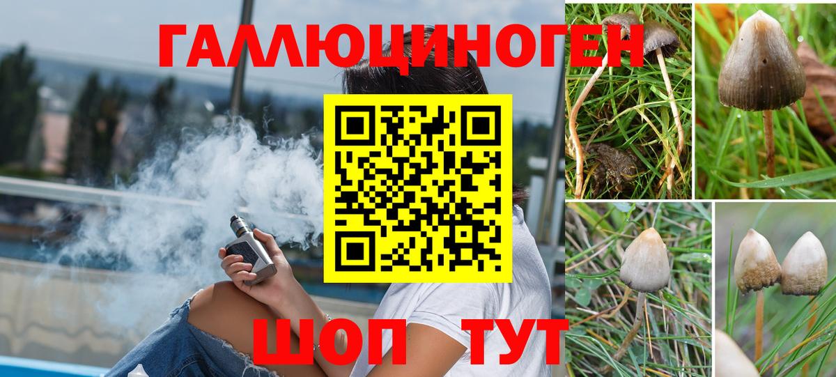 Ржев  где купить наркоту  Вход с VPN  Псилоцибиновые грибы Psilocybe 