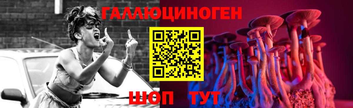 Галлюциногенные грибы Psilocybe Ржев